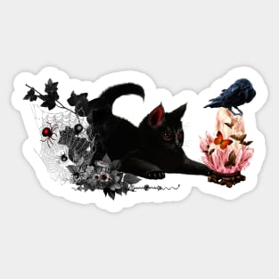 Cute playing cat and crow Sticker